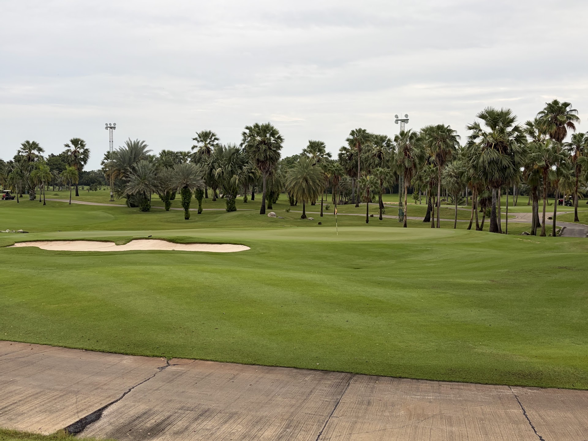 ヤシの木が並ぶSuwan Golf Country Club